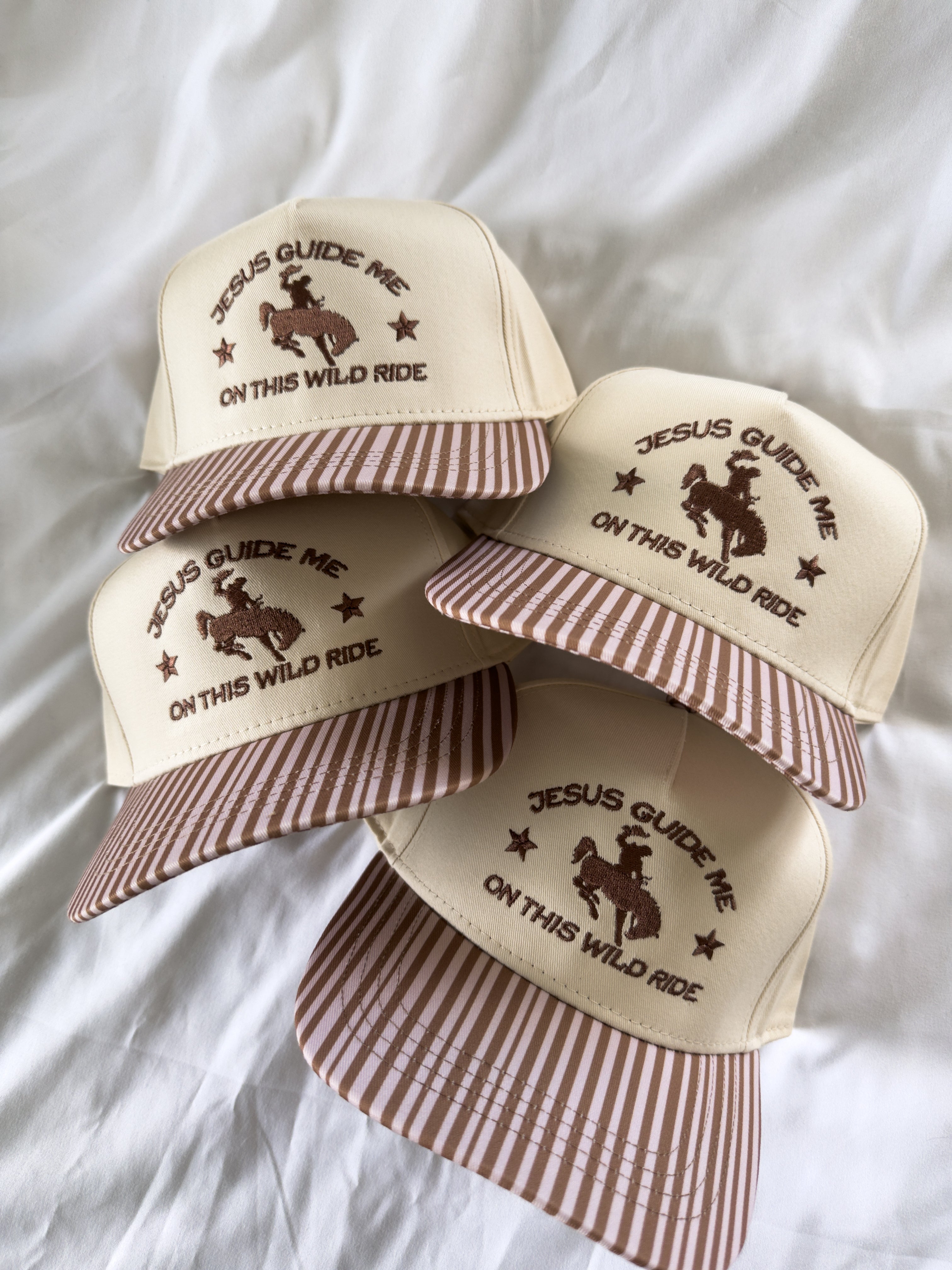 Jesus Guide Me On This Wild Ride Brown Stripe Hat